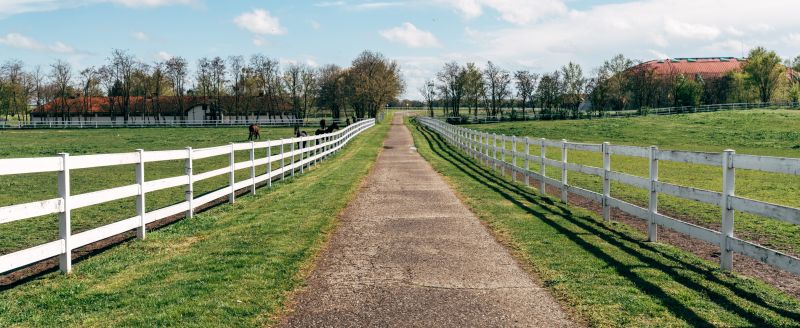 Horse Fence Painting in Waco, TX