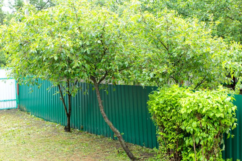 Fence Painting Service in Waco, TX