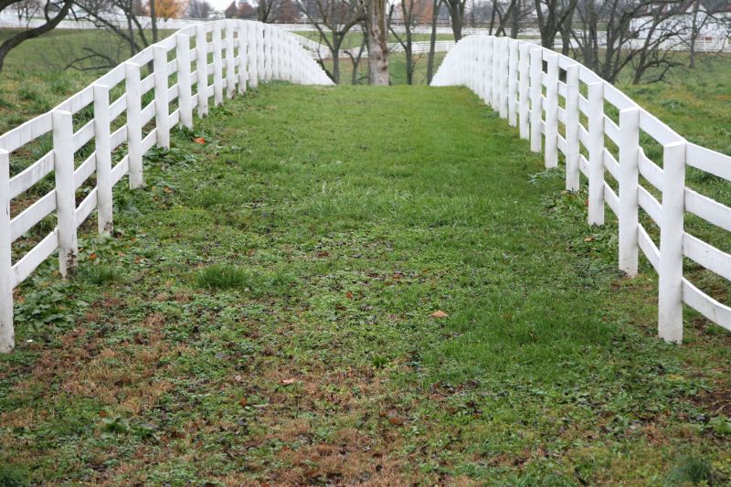 Horse Fence Painting in Waco, TX