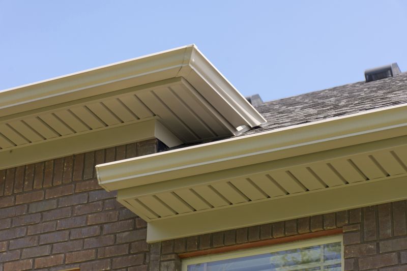 Soffit Painting in Longmont, CO