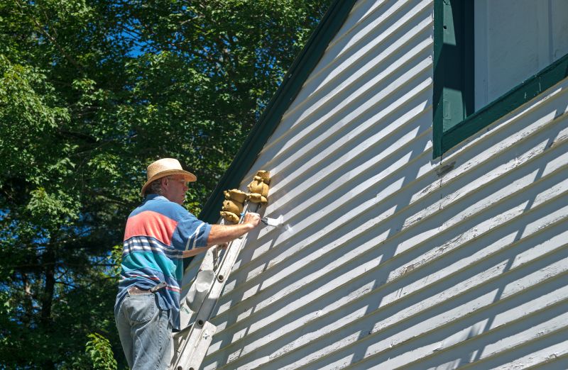 Vinyl Siding Painting in Fort Collins, CO
